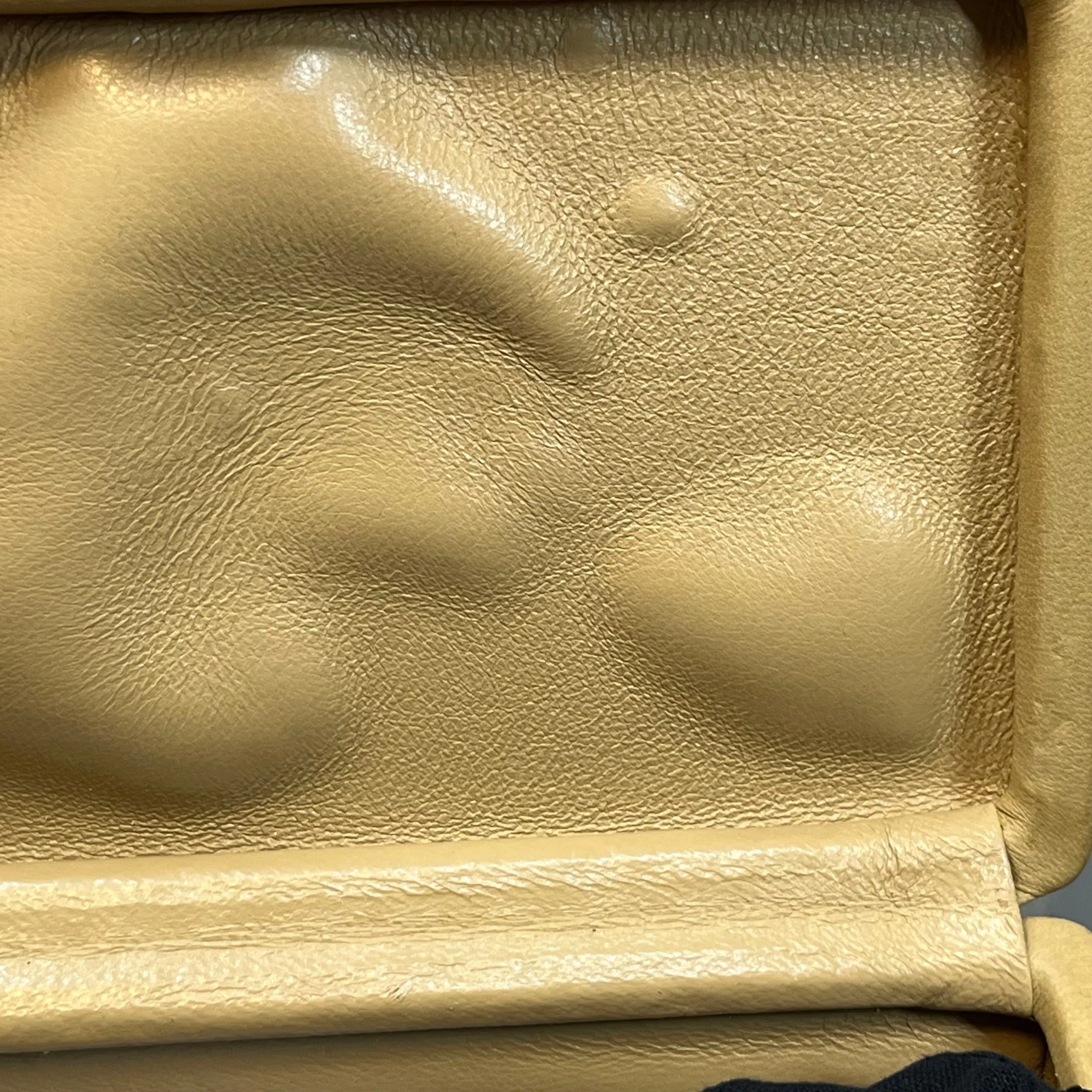 CHANEL Box Lambskin Tortoise Vintage Handbag