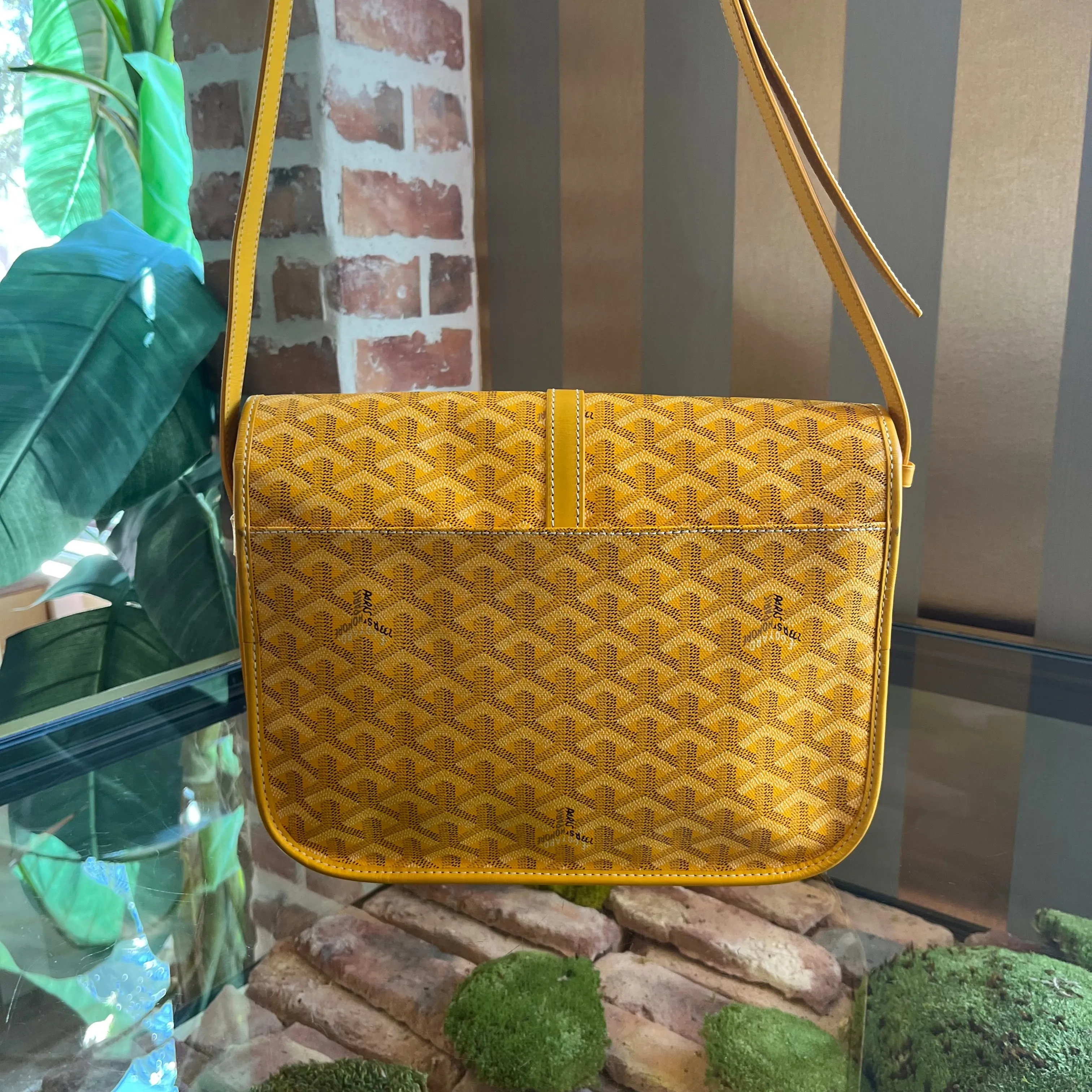 GOYARD Yellow Belvedere II TS3919